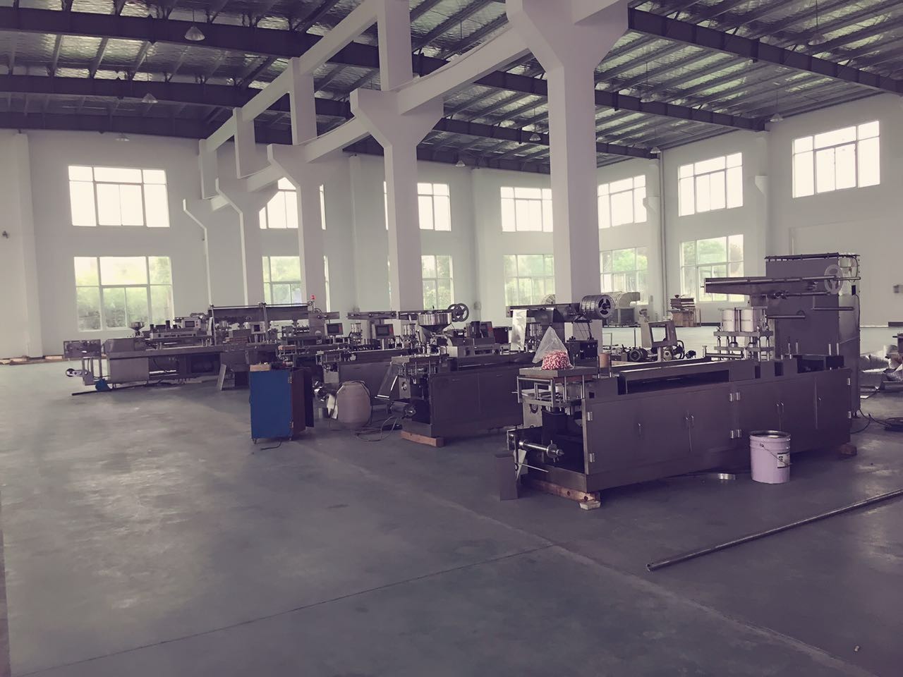 DPP-320 Automatic Stainless Steel Pharmacy Capsule Blister Packing Machine